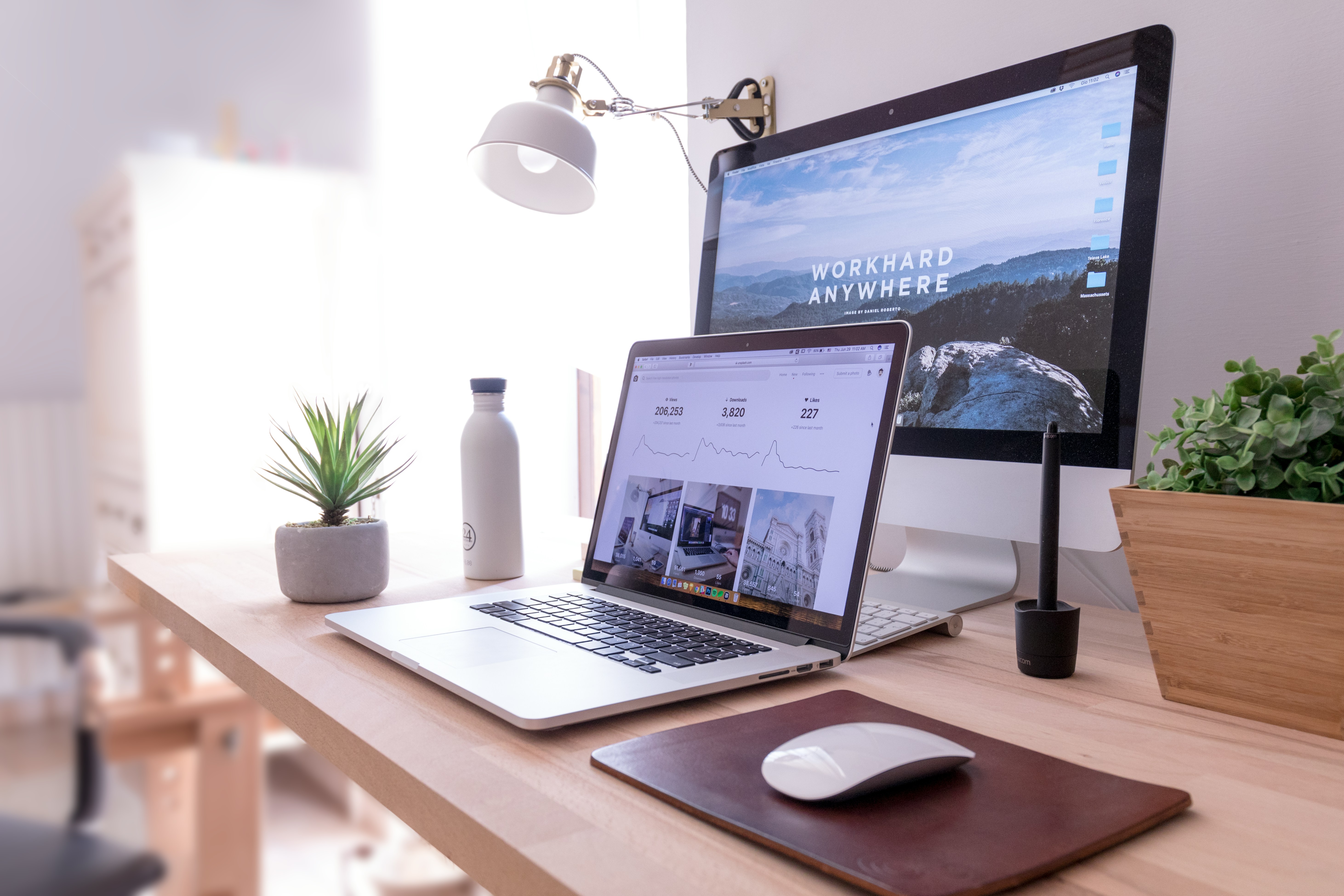 Bright workspace with laptop and plant